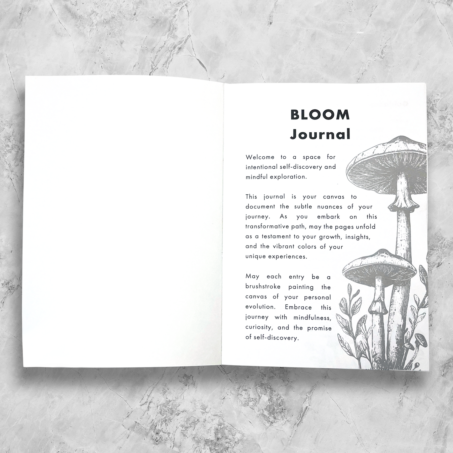 Micro-dosing Bloom Journal: Blue Rain Shrooms